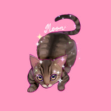 Load image into Gallery viewer, Moon